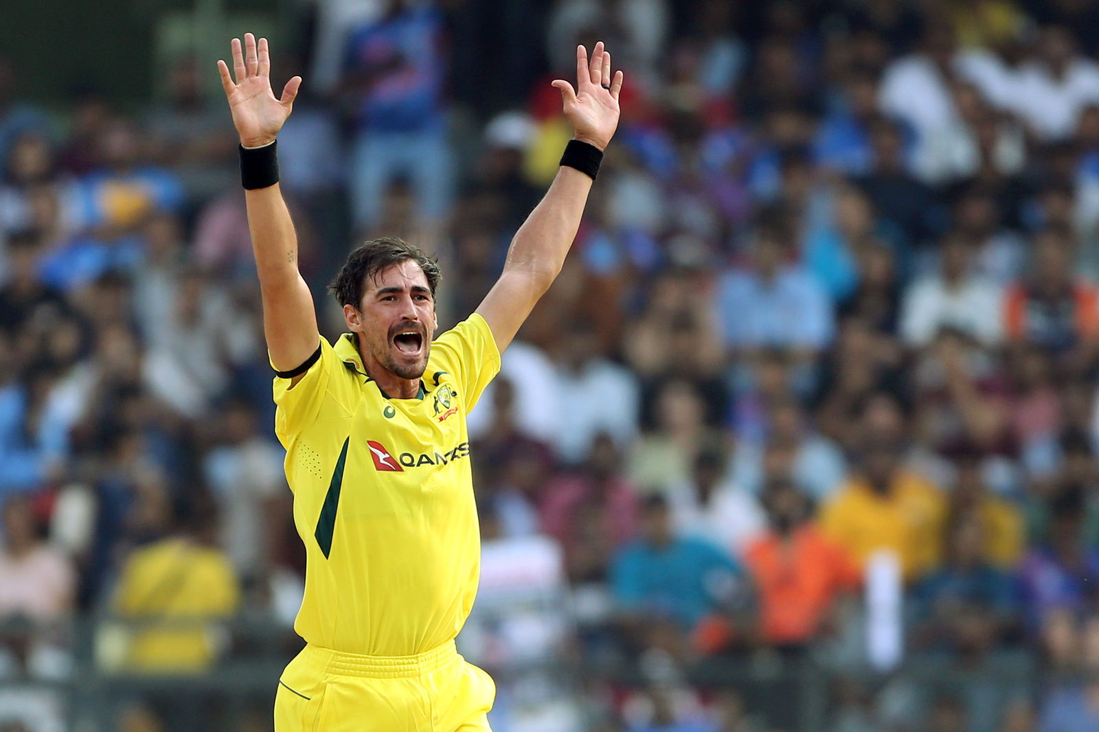 IND vs AUS 1st ODI: Did Mitchell Starc bowl the world's fastest ball? Speed gun records 176.5 kph, leaves fans stunned