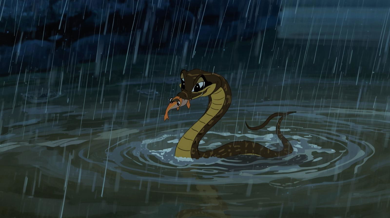 Snake with fish in mouth becomes Kolkata’s latest viral sensation