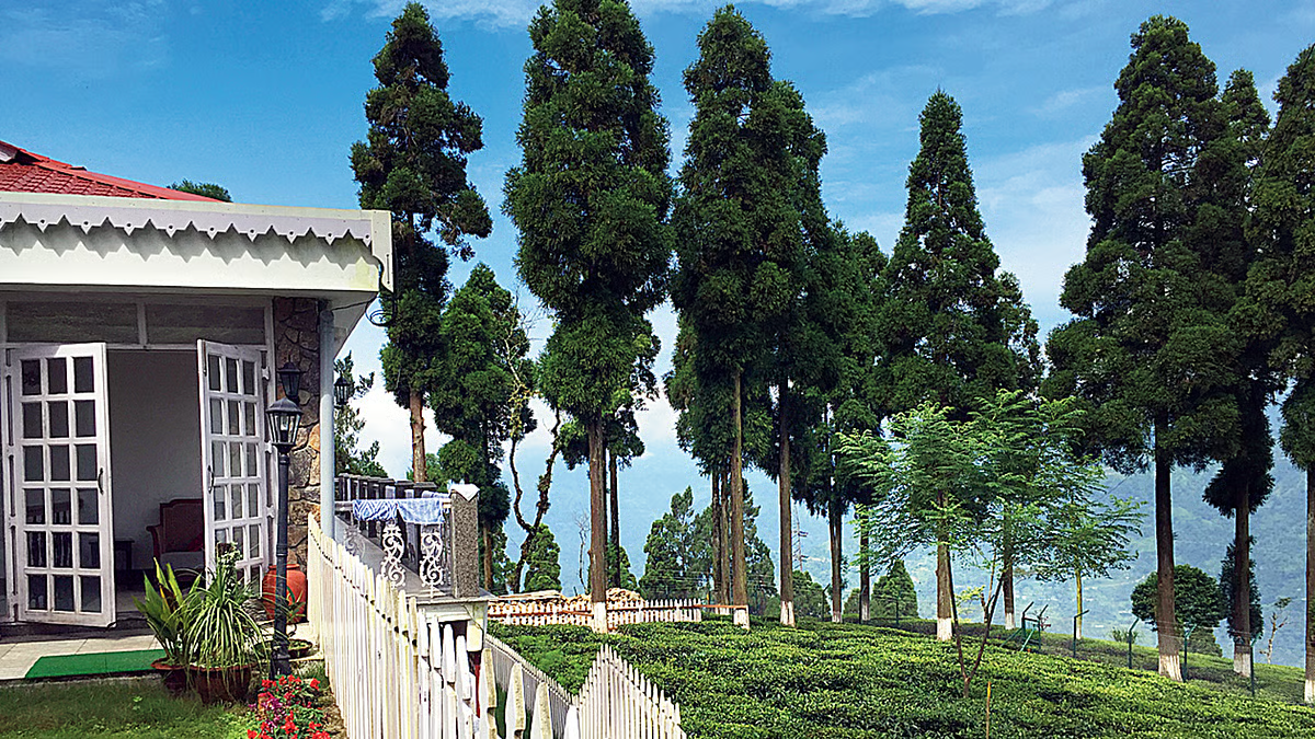 Dreaming of a tea garden stay? These 3 estates offer rooms under ₹5,000