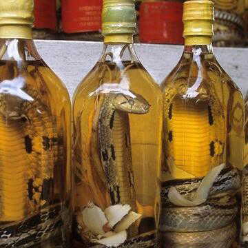 Would you drink snake wine? The centuries-old tradition explained