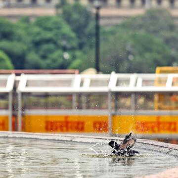 Delhi braces for 44°C heat, IMD flags severe heatwave conditions this week