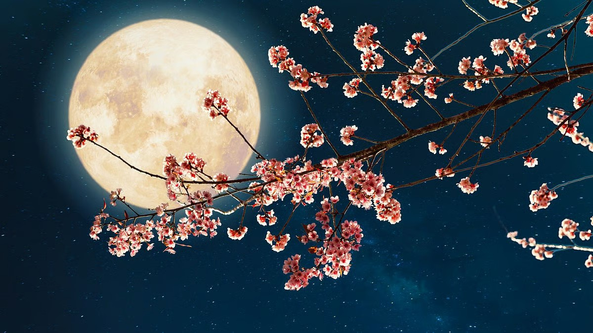 Last full moon of 2025 falls on December 4: Here's why Margashirsha Purnima is so special