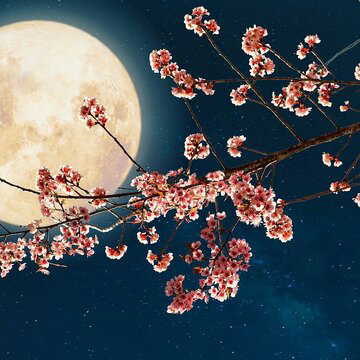 Last full moon of 2025 falls on December 4: Here's why Margashirsha Purnima is so special