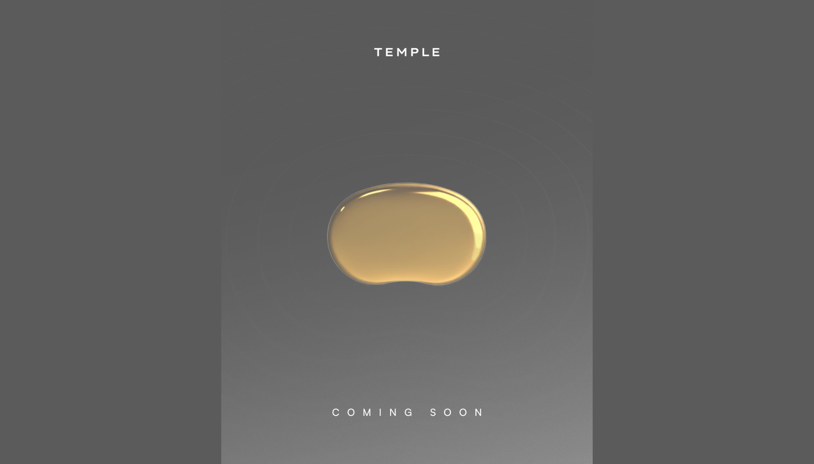 What is 'Temple?' What we know about Zomato founder Deepinder Goyal's latest product