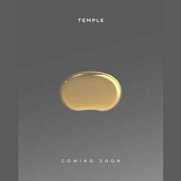 What is 'Temple?' What we know about Zomato founder Deepinder Goyal's latest product