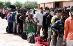 Daily wage earners made up 31% of India's suicide deaths in 2024: NCRB