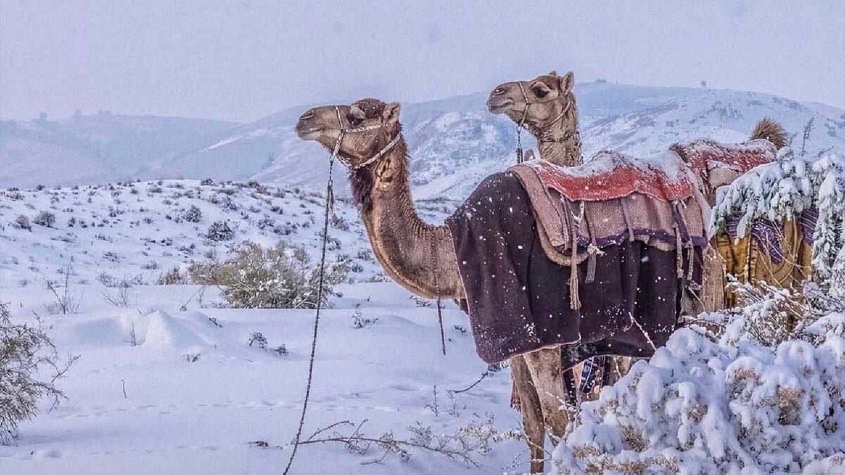 Saudi Arabia witnesses rare weather event as the desert sand gets covered in snow. Does it mean...