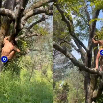 Vidyut Jammwal leaves Internet SHOCKED as he climbs tree naked