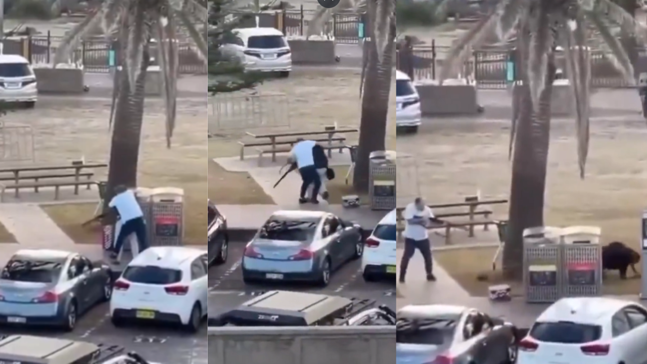 Sydney Bondi Beach shooting: Bystander overpowers gunman in dramatic on-camera moment | WATCH