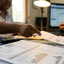 UP power bills to rise 10% from June : Here's all we know