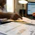 UP power bills to rise 10% from June : Here's all we know
