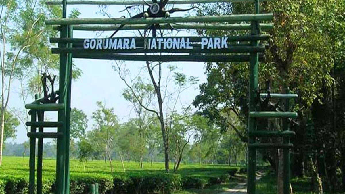 Gorumara to remain open on Christmas and New Year despite weekly closure