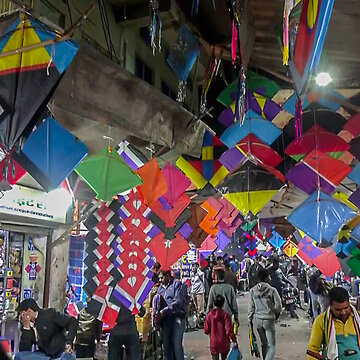 Makar Sankranti 2026: Is the festival on January 14 or 15? Check the details here