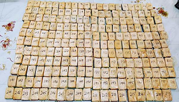 Hydroponic cannabis haul worth ₹16 crore seized by revenue intelligence officials at Lucknow airport; passenger arrested