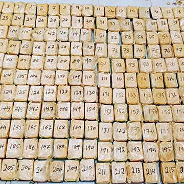 Hydroponic cannabis haul worth ₹16 crore seized by revenue intelligence officials at Lucknow airport; passenger arrested