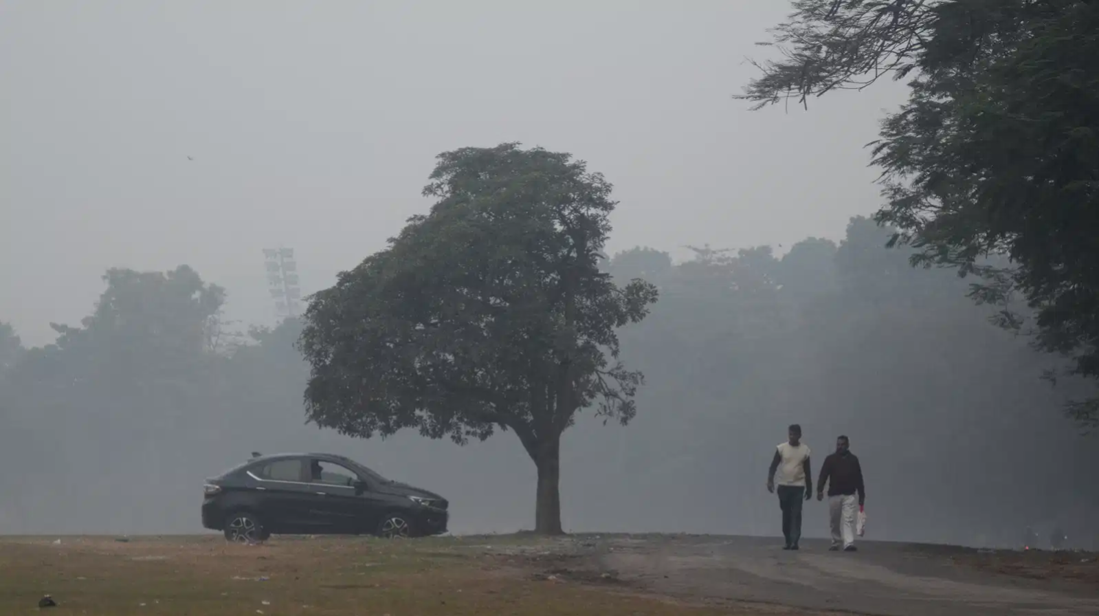 With 427,000 trees and falling, Kolkata's ‘deep root’ plan aims to reverse city’s soaring air pollution