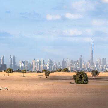 No Instagram before 15? UAE unveils tough new social media rules