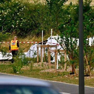 'A noise as if the engine stopped in mid-air': Witness recalls moments before France plane crash killed 11