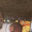 Kerala man’s 14-hour journey to return a stranger’s debit card goes viral