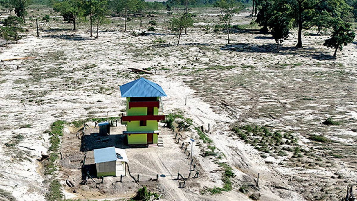 Jaldapara, West Bengal's 200 elephants, 300 rhinos pushed towards villages