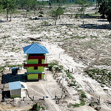 Jaldapara, West Bengal's 200 elephants, 300 rhinos pushed towards villages