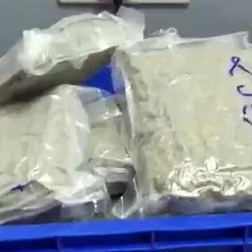 What is hydroponic weed? Customs officers in Mumbai seize Rs. 12.97 crores worth of illegal goods, 9 passengers arrested