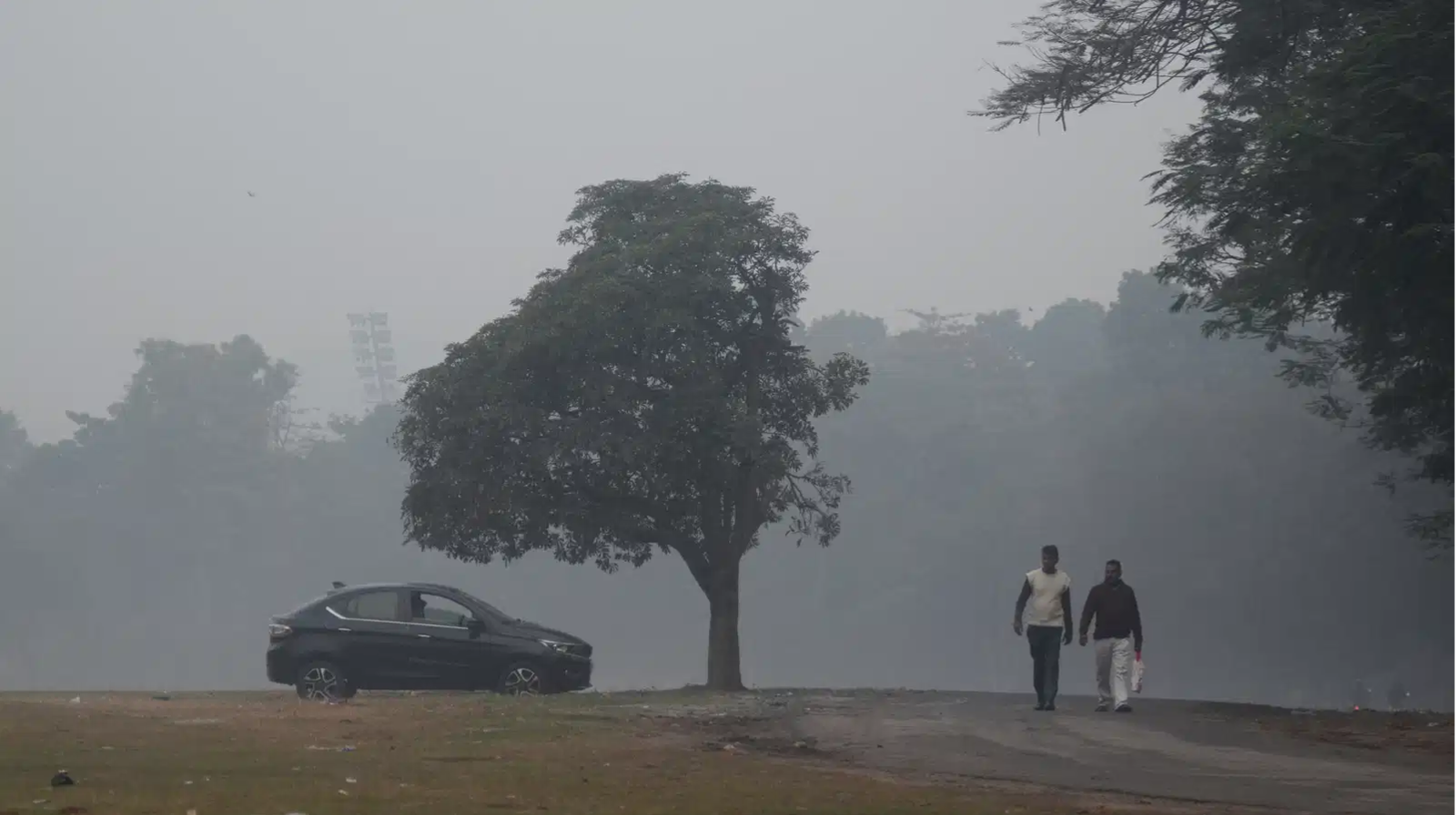 Foggy days ahead: Kolkata Traffic Police issue 6-point advisory