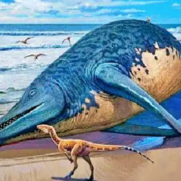 Beach walk turns historic as 11-year-old discovers fossil of enormous marine reptile