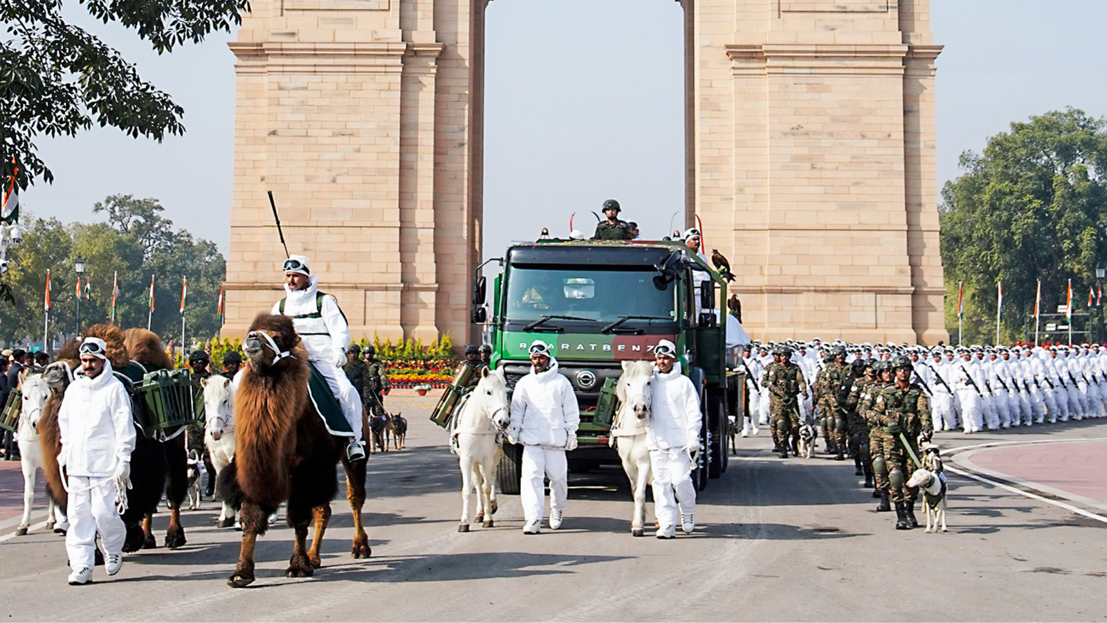 Here's all you need to know about the two-humped camels that turned heads at Republic Day parade