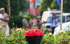 Delhi Assembly breach sparks panic: Alarm system and drills now mandatory