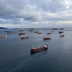 Hormuz choke point: Ship traffic plunges over 90%, 500 vessels remain in limbo