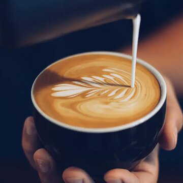 Is having 3 cups of coffee daily good for your mental health? Here's what researchers say