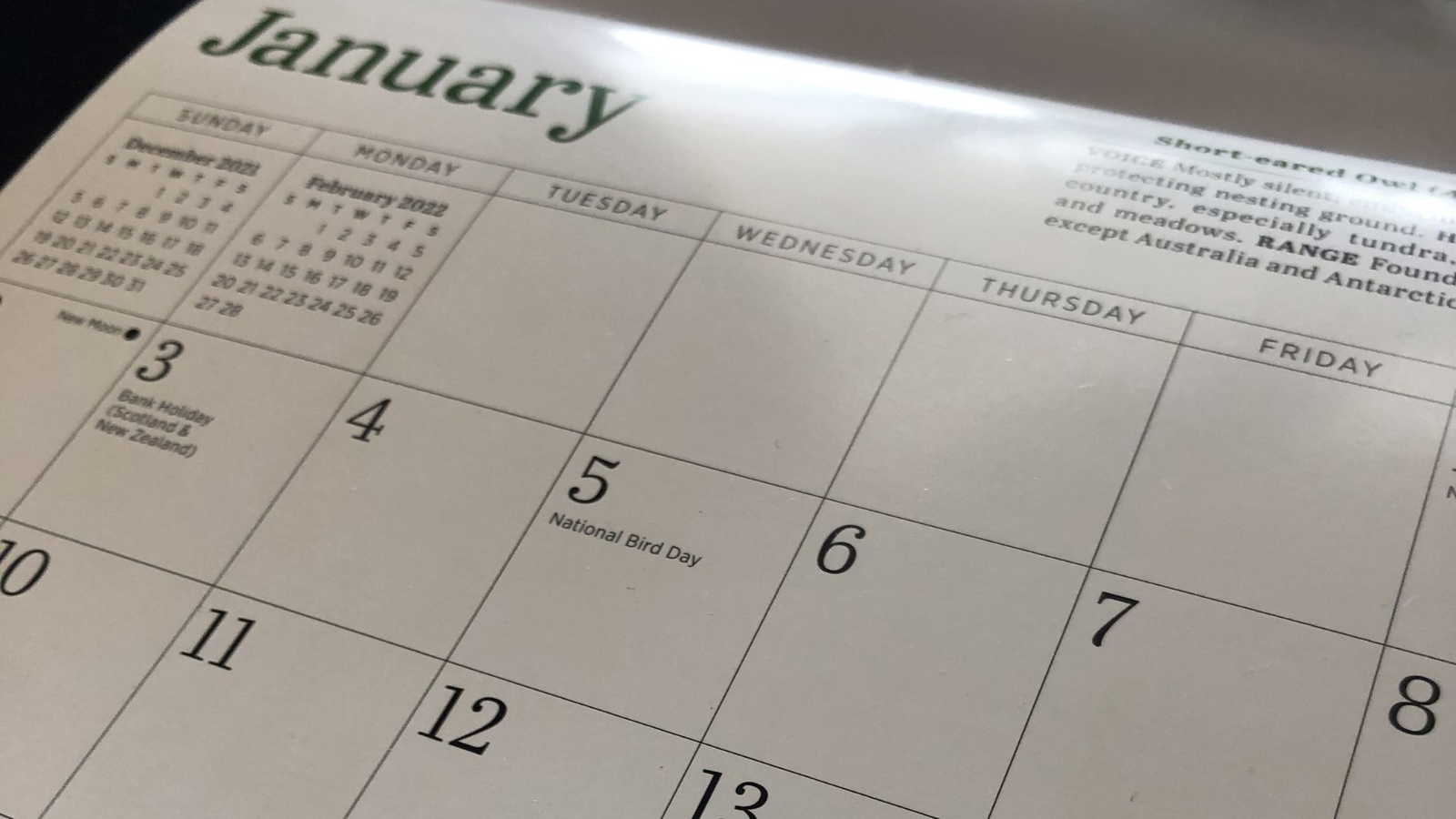 January 2026 calendar with holidays: Check festivals, Purnima, key dates and more