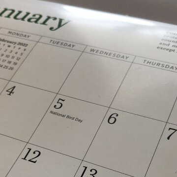 January 2026 calendar with holidays: Check festivals, Purnima, key dates and more