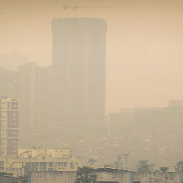 Dense fog covers Howrah's roads and streets at dawn- rising dust levels to blame?