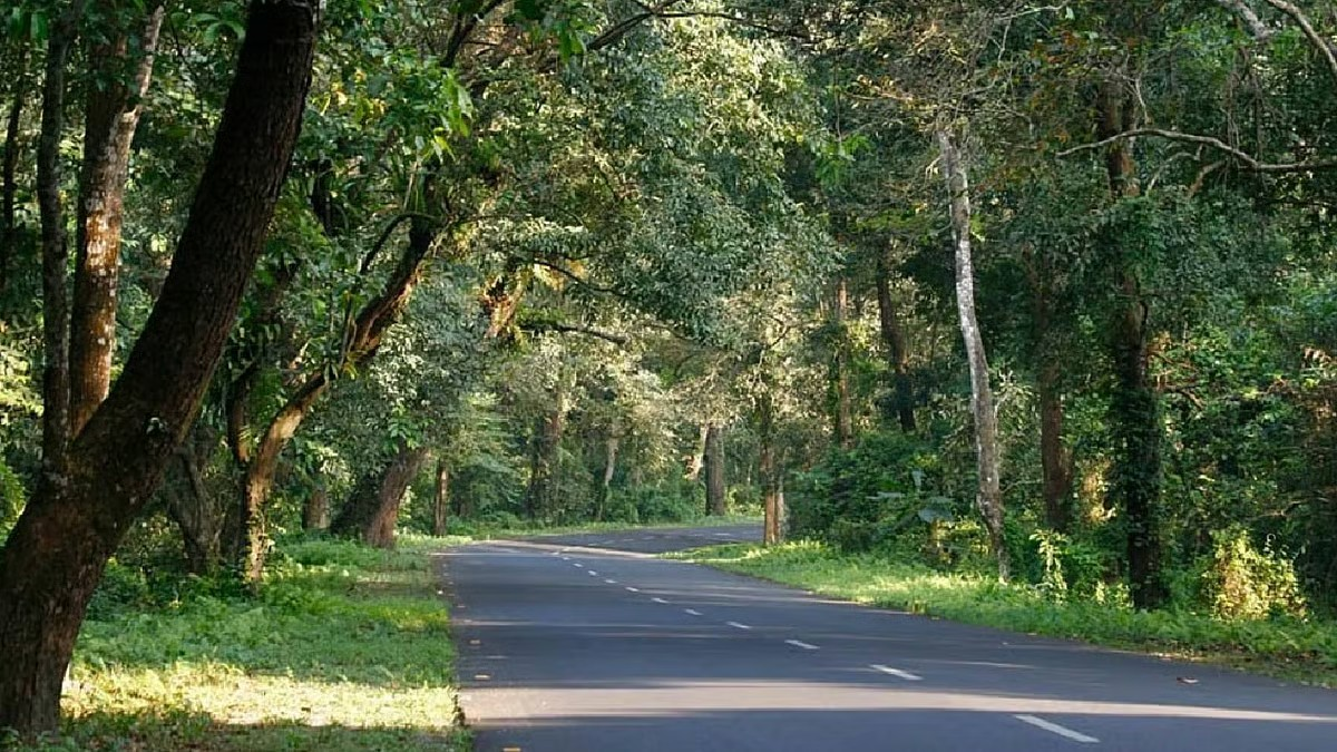 Wildlife deaths trigger night-long patrols on Lataguri Highway