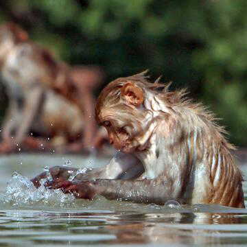 India records 97 of world’s 100 hottest cities amid severe heatwave