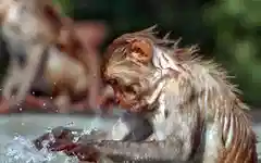 India records 97 of world’s 100 hottest cities amid severe heatwave