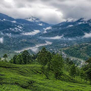 Darjeeling feels too crowded? Head to peaceful Peshok instead