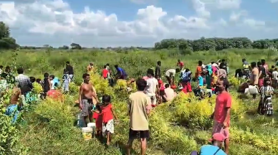 Sudden tanker leak, villagers' gather around for oil harvest