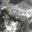 Delhi likely to miss usual monsoon arrival date as weak rains slow its advance