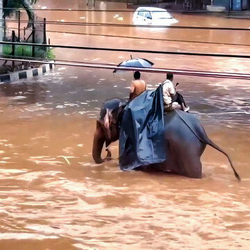 Centre sanctions extra ₹707.97 crore to Assam, Gujarat for 2024 flood relief