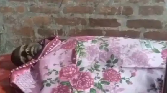 Third killing in two weeks: Hindu security guard shot at Bangladesh garment unit