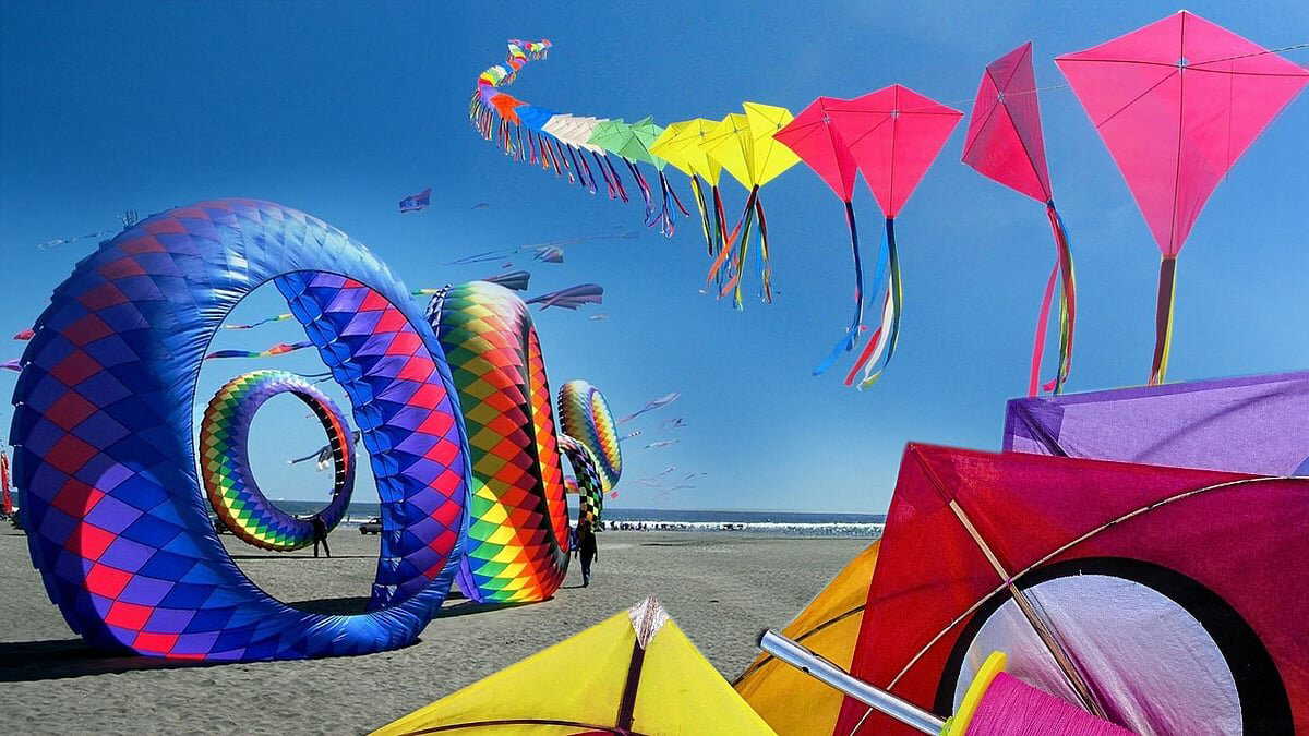 Makar Sankranti celebrations soar as Gujarat hosts world’s largest kite festival