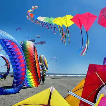 Makar Sankranti celebrations soar as Gujarat hosts world’s largest kite festival