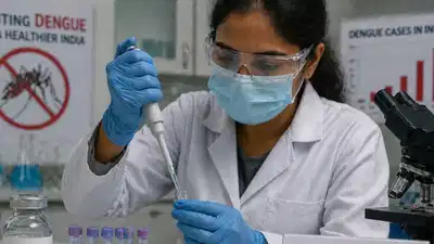 Dengue treatment breakthrough? India’s plan could change everything