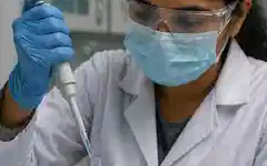 Dengue treatment breakthrough? India’s plan could change everything