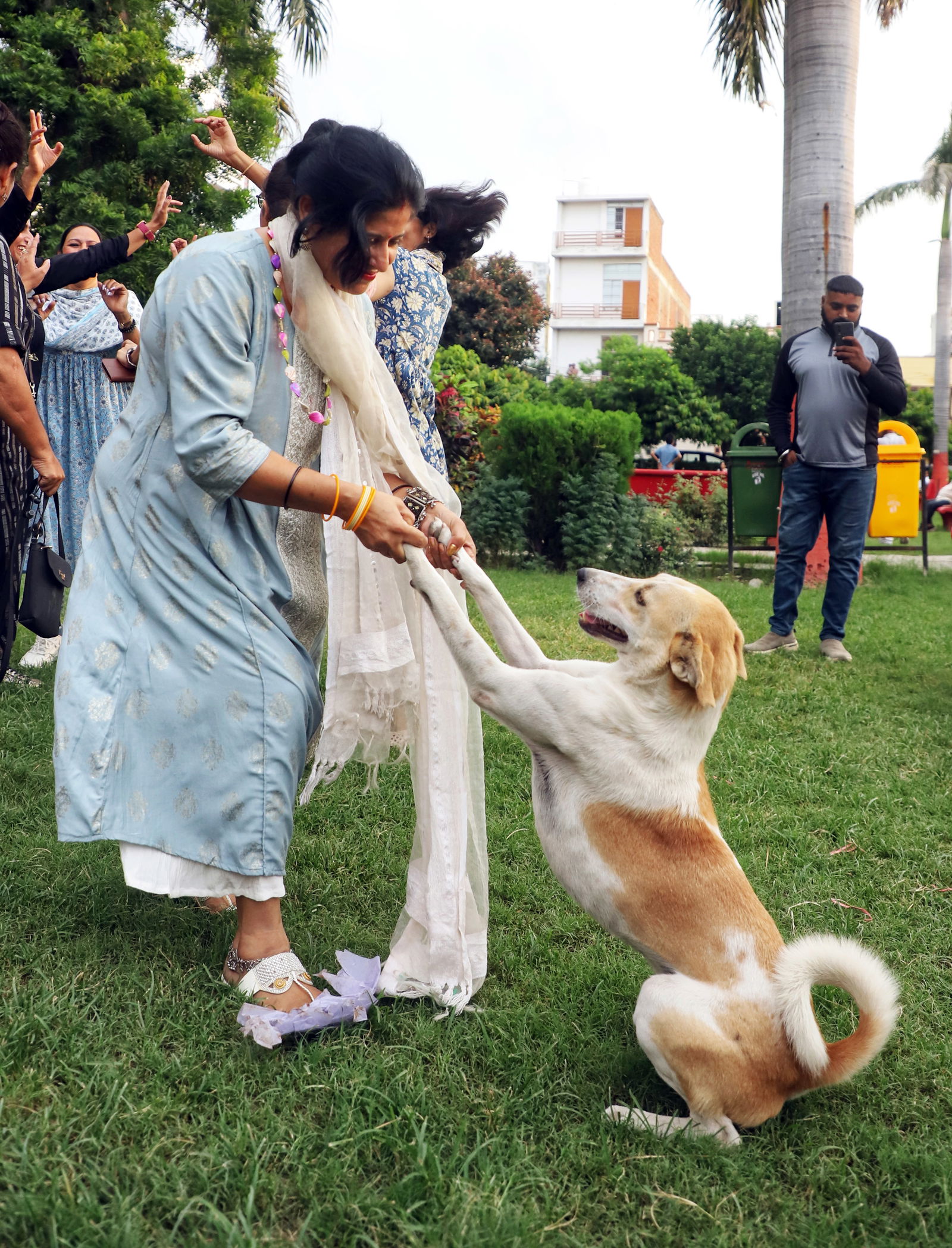 National Dog Day 2025: Date, significance, how to celebrate, a complete guide