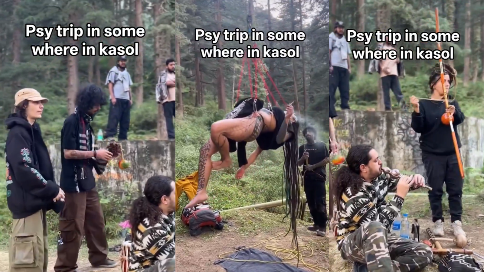 Kasol turns hotspot for illegal ‘psy parties'? Viral video from Himachal forest raises alarm
