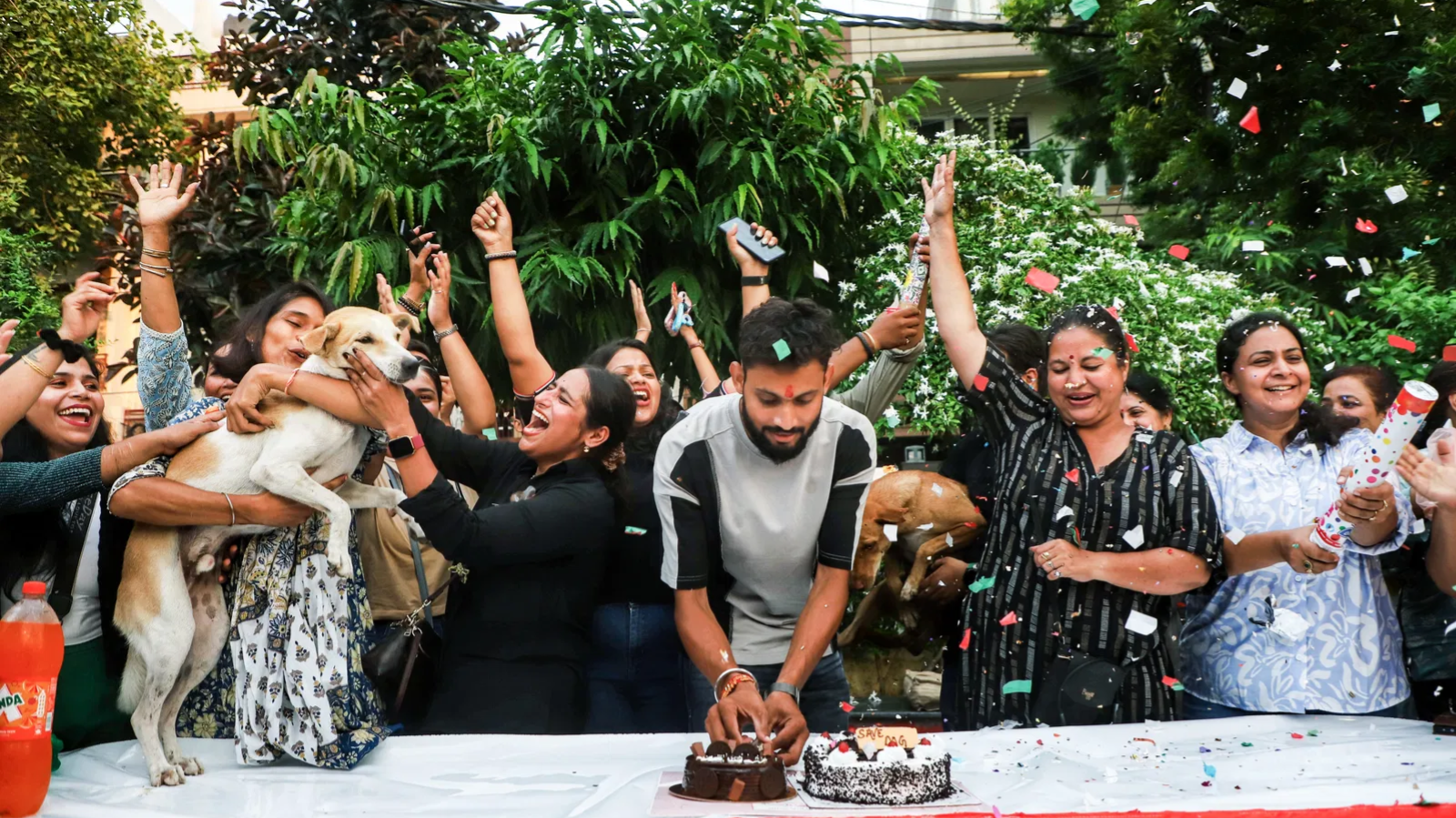 Supreme Court eases stray dog rules, allows release post-sterilisation